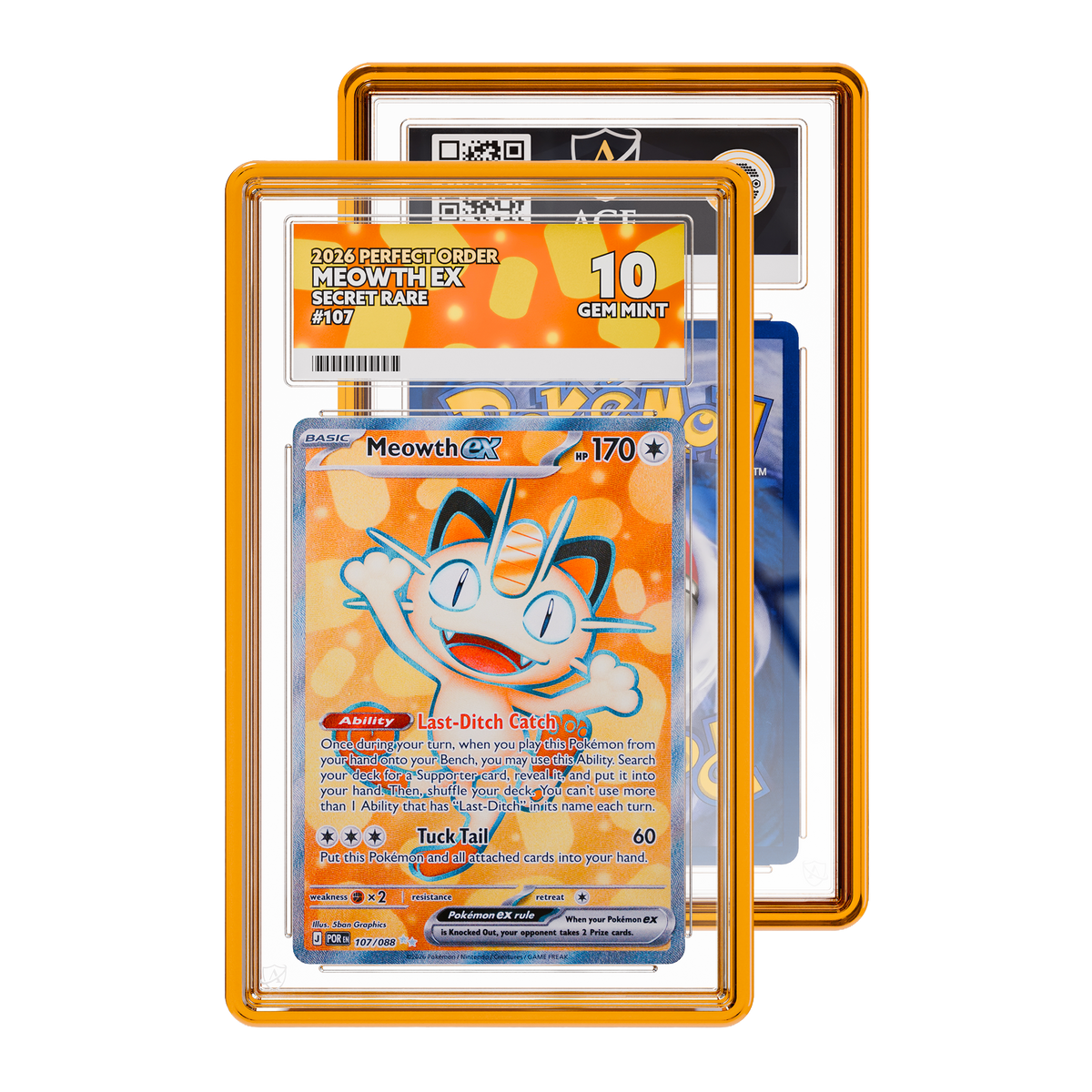 Jewel GradedGuard Case (Ace)